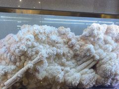 -湖南省地质博物馆