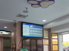 -天使宠物医院·犬猫分诊(彩虹店)