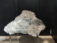 -中国地质博物馆