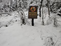 -神农架香溪源景区