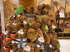 -廊坊固安福朋喜来登酒店