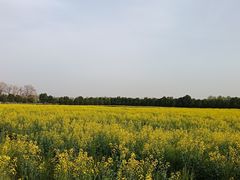 -汉长安城未央宫国家考古遗址公园