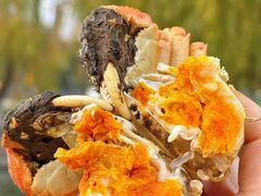 -品鲜村农家菜·阳澄湖大闸蟹(总店)