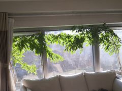 -精德口腔·种植修复·儿牙中心(财富中心店)