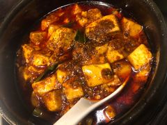 -陈麻婆豆腐总店