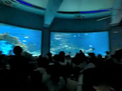 -海合安武汉极地海洋公园