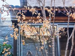 -VOYAGE COFFEE(杨梅竹店)