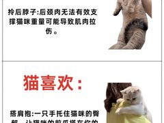 -美联众合动物医院·24h转诊中心