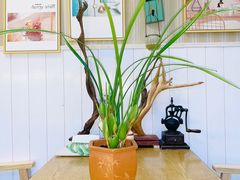 -Rabbit Cafe私房西餐甜点咖啡(栖霞路店)