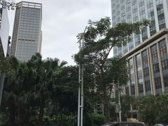 -深圳凯宾斯基酒店