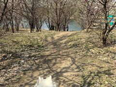 -长白岛森林公园