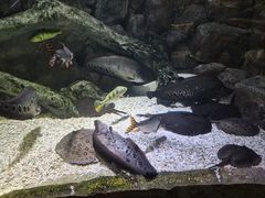 -多彩贵州城极地海洋世界