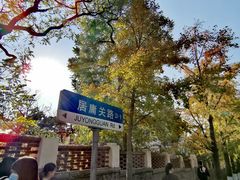 -八大关景区