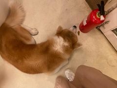 -餐酒吧Com-ing Bar(上海路店)