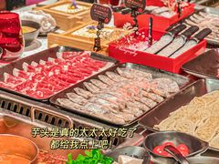 -鼎膳常火锅(华阳店)
