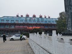 -东方巨龟苑景区