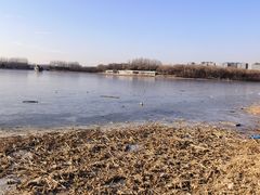 -大兴滨河森林公园