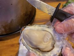 -土蚝·高压锅生蚝(百姓美食街店)