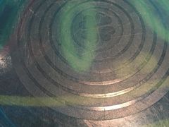 -芭莉与彩虹西餐厅(成都合生汇店)