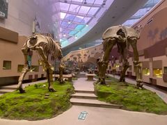 -陕西自然博物馆