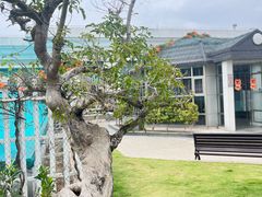 -庄氏祥记家常食府(国瑞建材家居博览中心店)