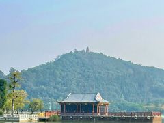 -顺峰山公园