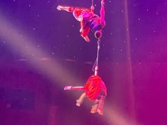 -珠海横琴长隆《卡卡虎奇遇记》