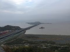 -洋山深水港