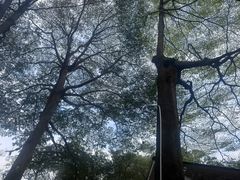 -三水森林公园