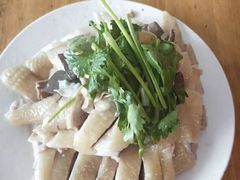 -文昌鸡饭店110号(中山路店)