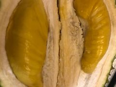 -都念榴莲·城市榴莲