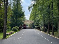 -东平国家森林公园