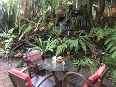 -Fern Forest Cafe