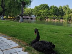 -东华大学(松江校区)
