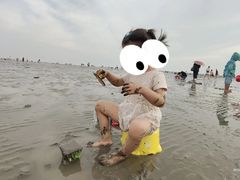 -奉贤海滩
