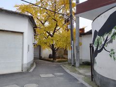 -雨花胜境