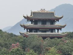 -贵州百里杜鹃风景名胜区