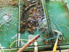 -沙子口大集沙子口海鲜市场