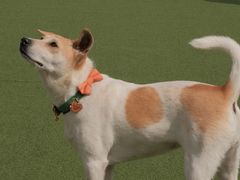 -AIRPARK爱野屋顶运动公园