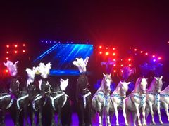 -珠海横琴长隆《卡卡虎奇遇记》