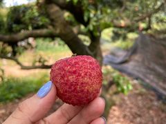 -水濂山森林公园