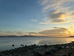 -深圳湾公园(南山区)