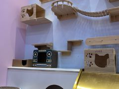 -爪爪喵星球·猫舍(前海卓越店)