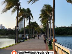 -南宁南湖公园
