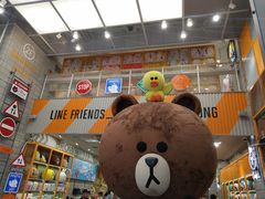 -line friends(明洞旗舰店)