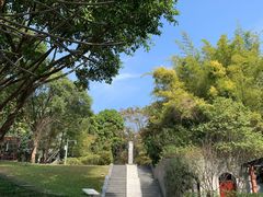 -深圳国际园林花卉博览园