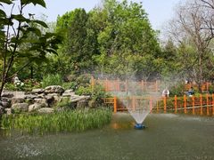 -太阳宫公园