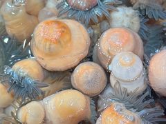 -兴仙饭店·闽味海鲜(马尾总店)