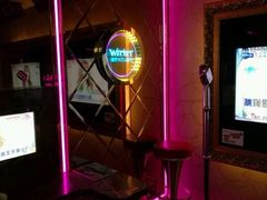 -温莎KTV(珠江路店)