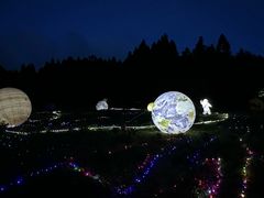 -武陵山森林公园